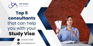 Top-5-consultants-that-can-help-you-with-your-study-visa